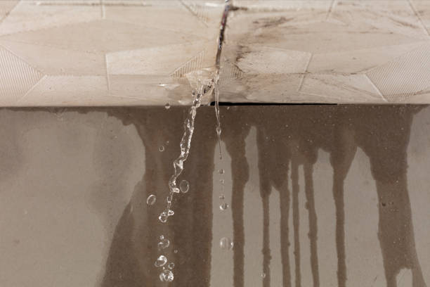 Professional Water Damage Restoration technician working in Newman Lake, WA